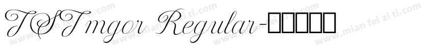 TSTmgor Regular字体转换